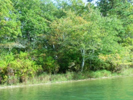 Cliff Pond IMG 4038